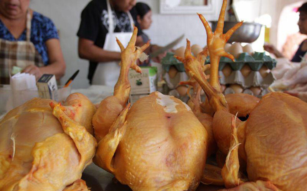 Senasag refuerza control sobre la venta de pollo