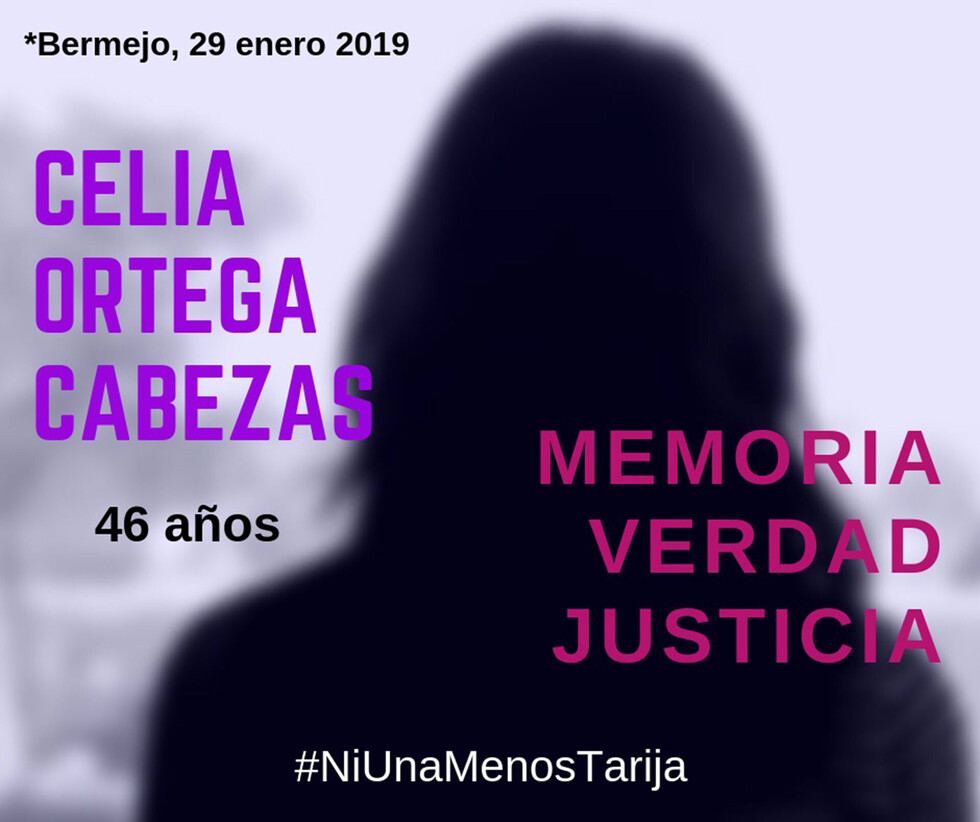 Los 5 feminicidios que conmocionan a Tarija