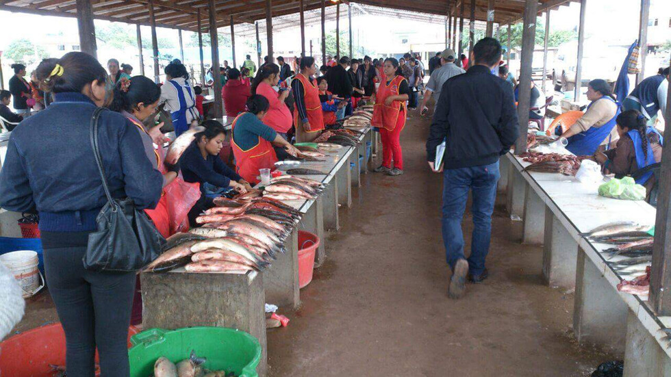Controlan peso y tamaño del sábalo que ponen a la venta