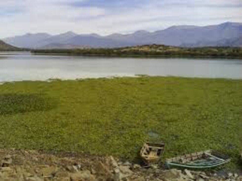 Las algas se comen San Jacinto, Ende Guaracachi no da solución