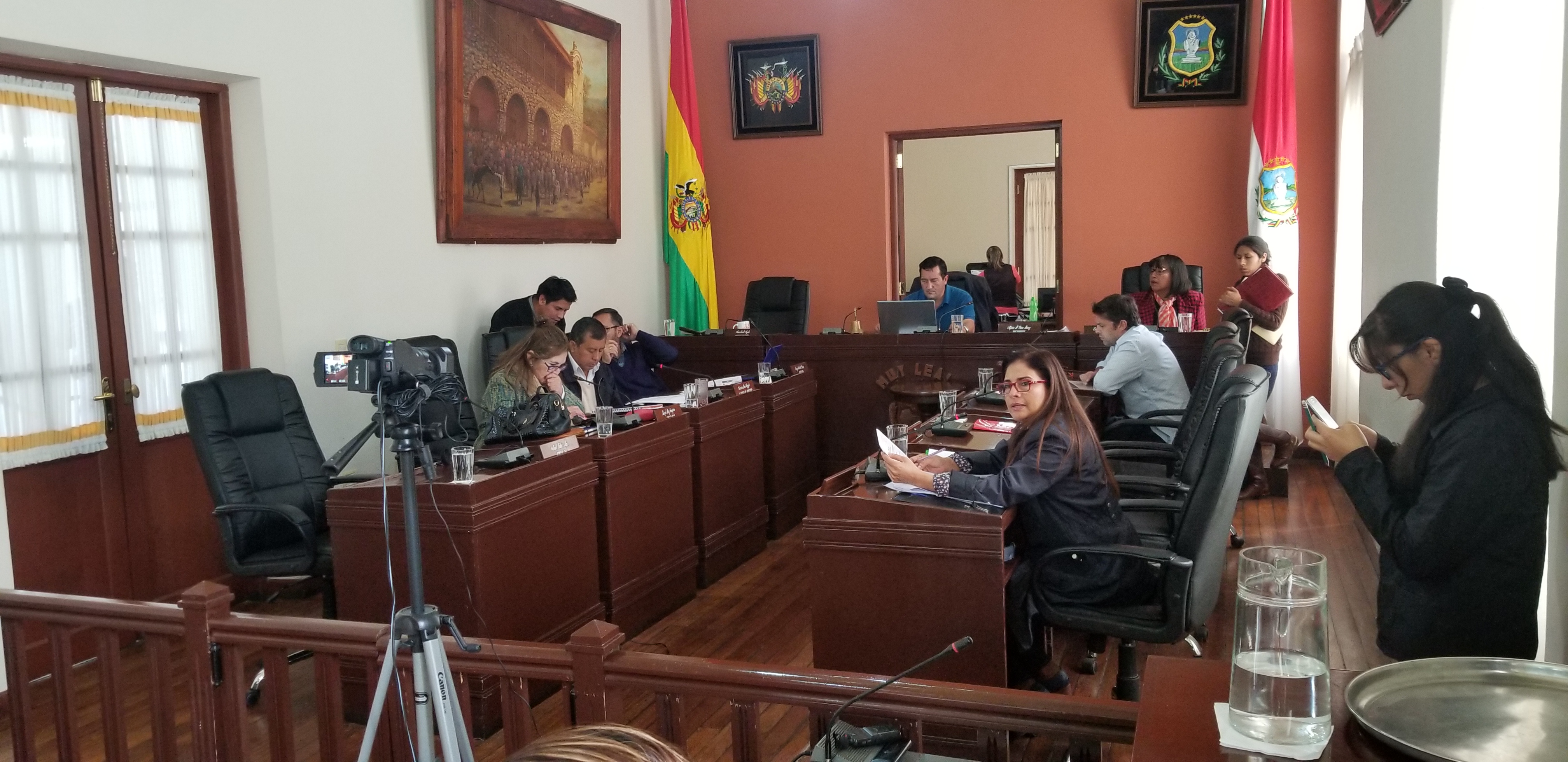Concejo insta a crear un Observatorio de Género