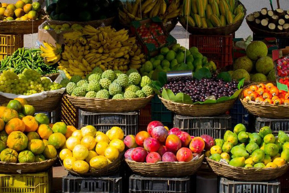 América Latina aportará 25% de  exportaciones agrícolas y pesqueras