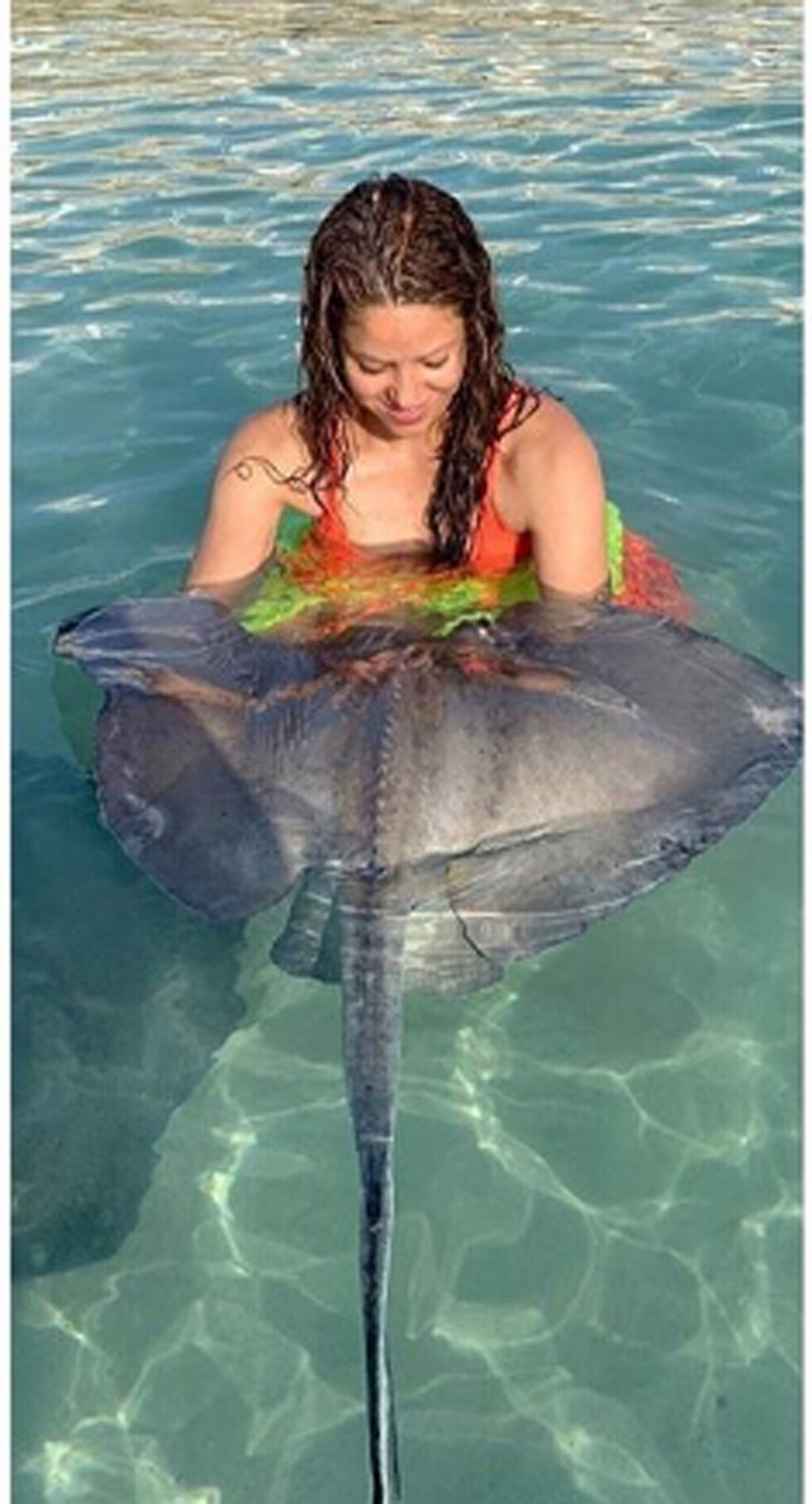 Shakira causa controversia  por una foto