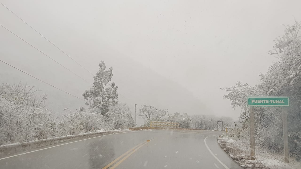 puente tunal-nevada en tarija