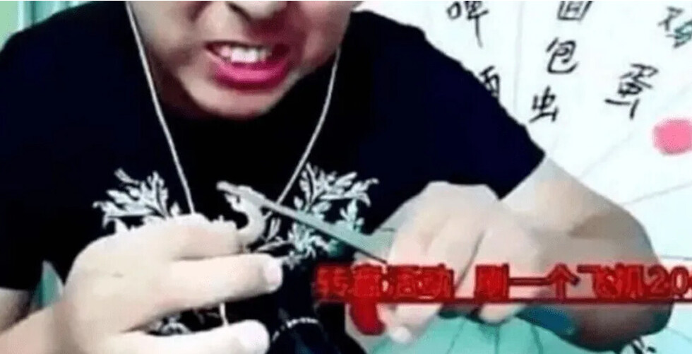 Youtuber comió bichos venenosos y murió