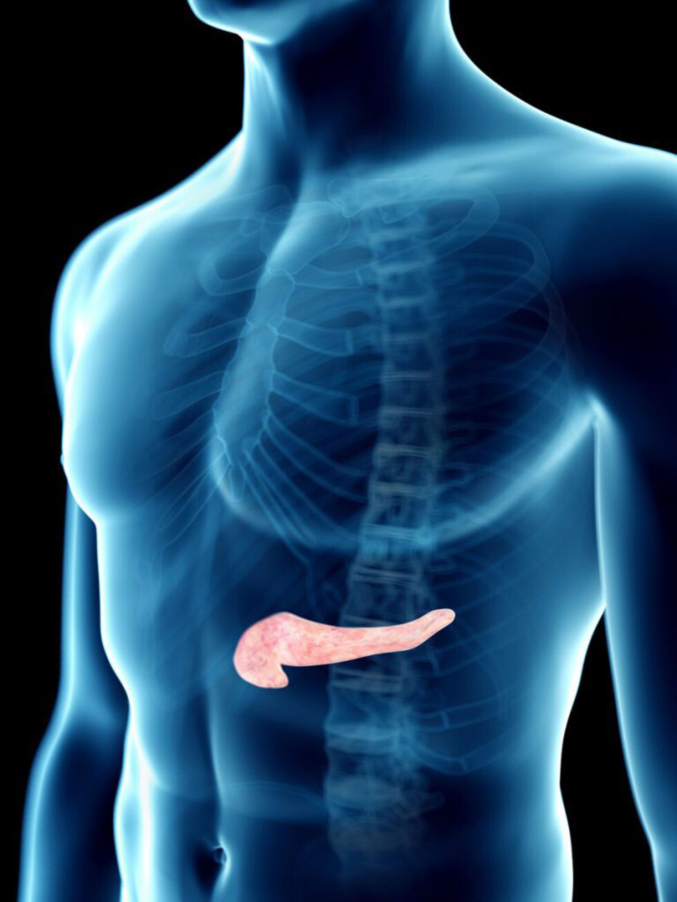 El cuello en los ejercicios