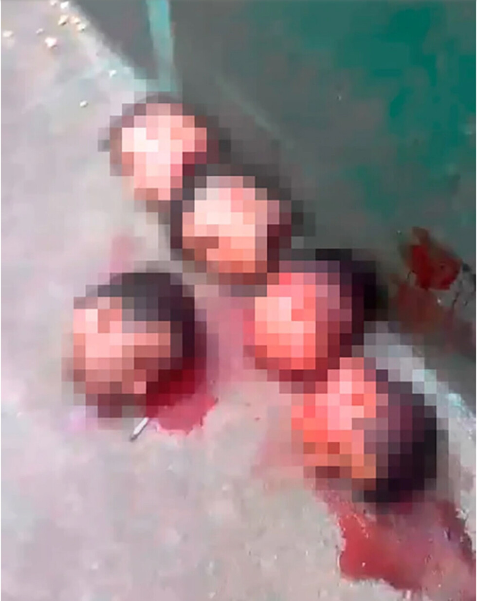 Motín en cárcel de Brasil deja 57 muertos y 16 decapitados