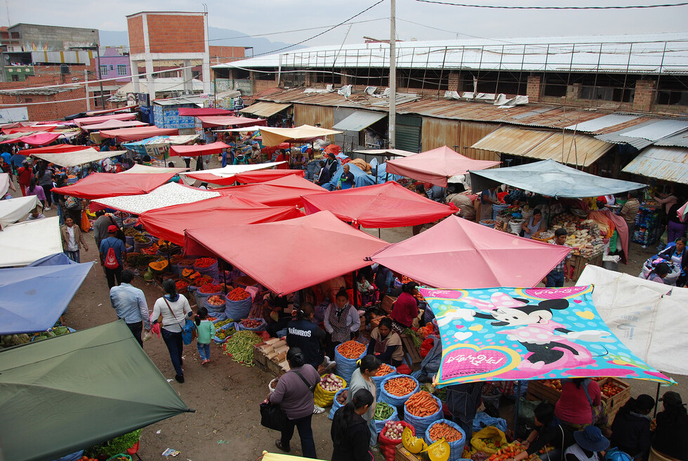 La nevada en Tarija provocó  aumento del precio del pollo