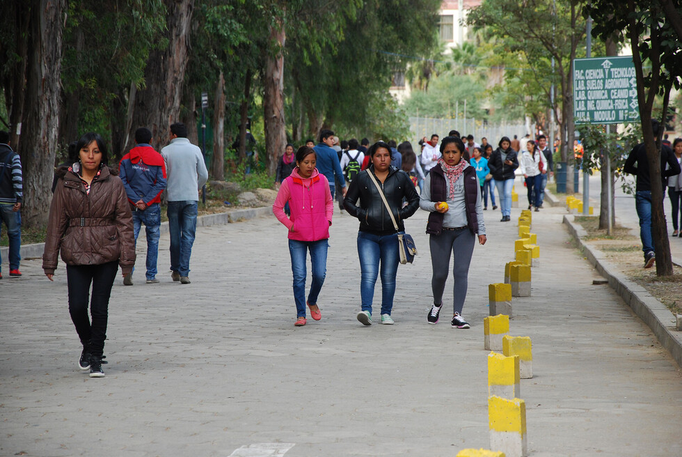 Actualización de mallas curriculares en la U entrampa a los “dinosaurios”