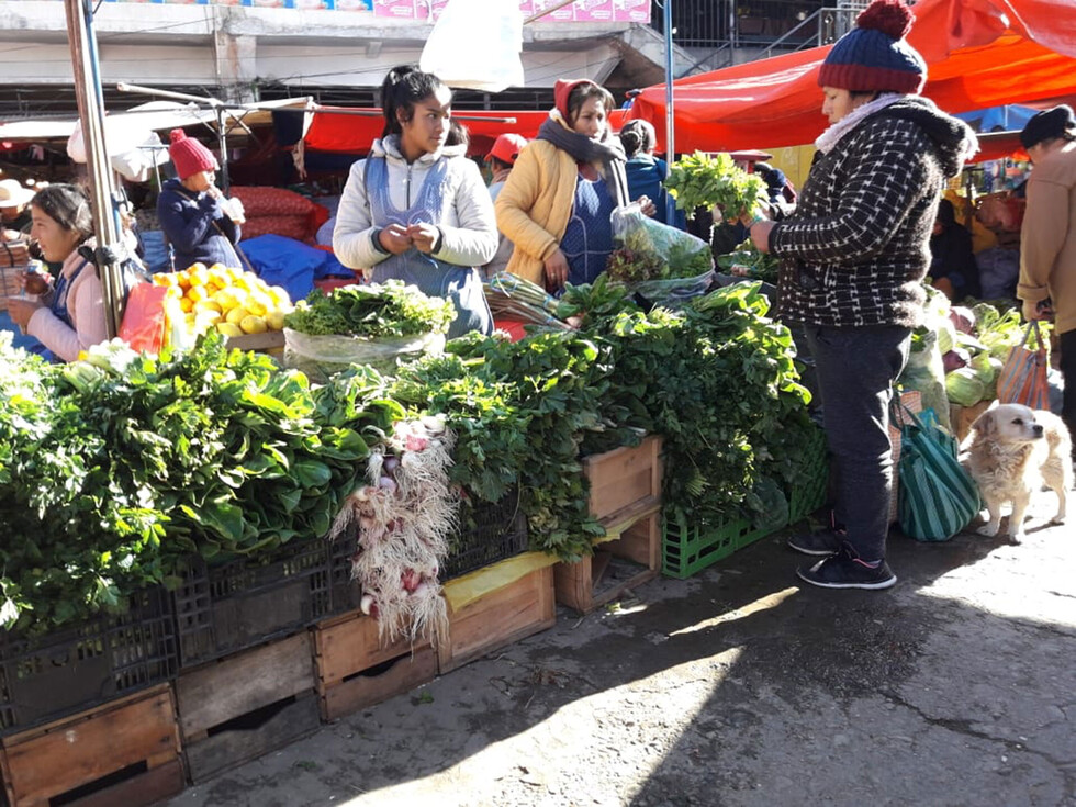 Sube precio de productos agrícolas en mercados de Tarija, por heladas