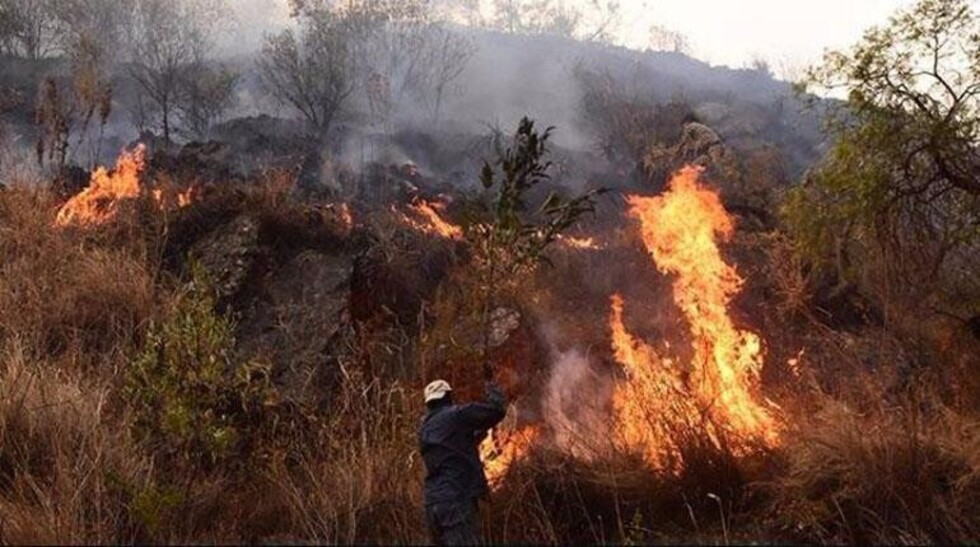 A dos años del incendio más importante de Tarija, Sama espera unos 50.000 plantines