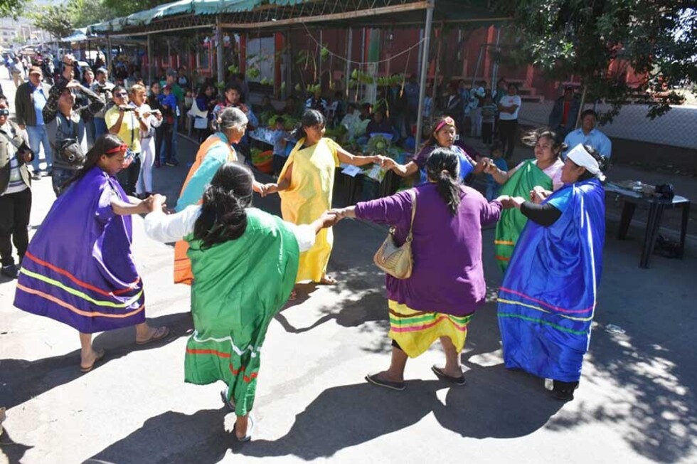 Mujeres guaraníes buscan apoyo en salud y justicia
