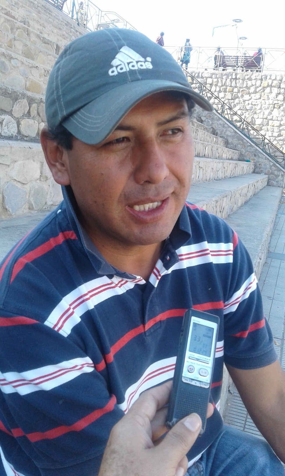 Wayar: Tres municipios de Tarija se unen a la cría de camélidos