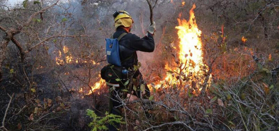Pausa ecológica paralizará tierras para restauración