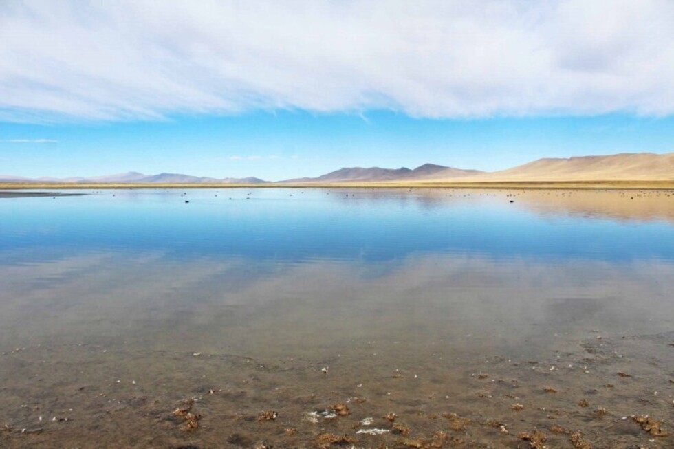 Tajzara, un destino turístico de Tarija en peligro