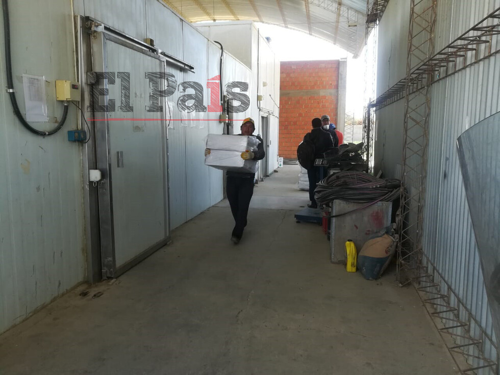 Incautan pescados vencidos y sin autorización en Tarija