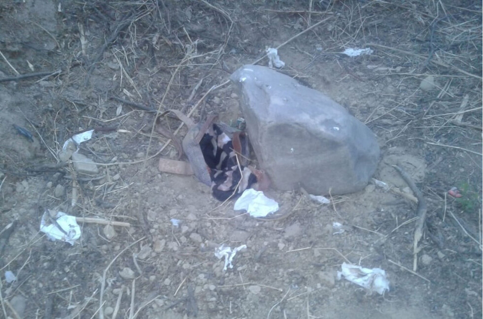 Perros desentierran cadáver de bebé en San Gerónimo - Tarija