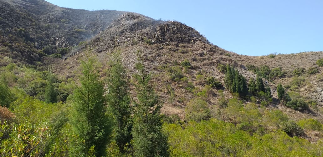 OFICIAL: "Ya no existen focos de calor", el incendio fue controlado en Tarija