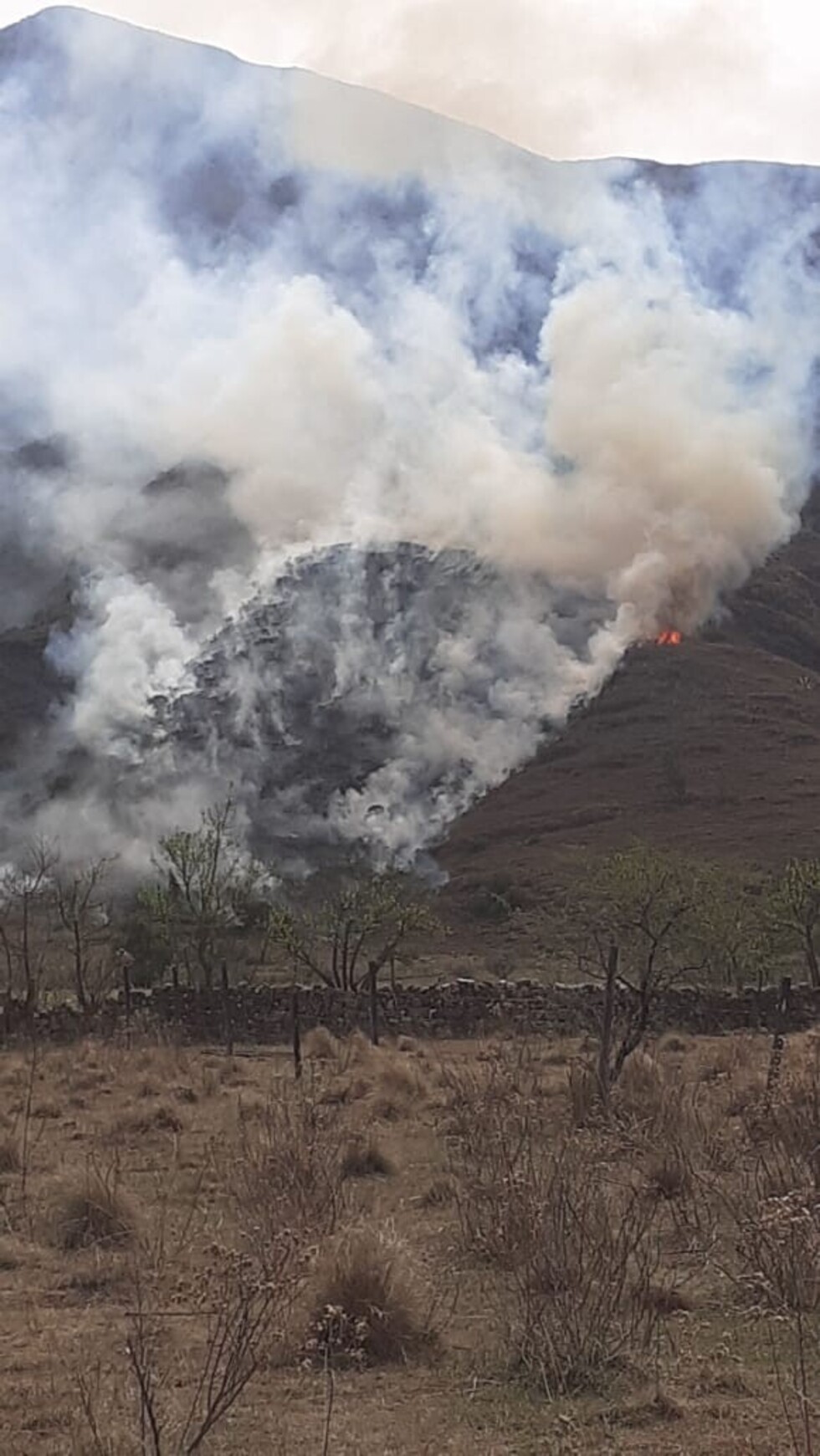 Reportan incendio en Bella Vista-Tarija, bomberos voluntarios se trasladan al lugar