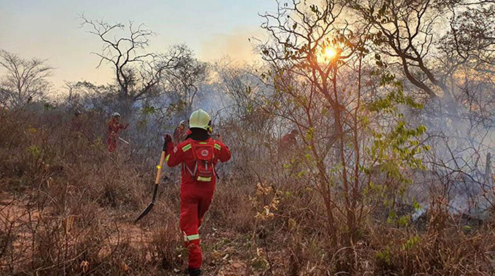 FFAA: focos de calor bajan a 1.053 en la Chiquitanía