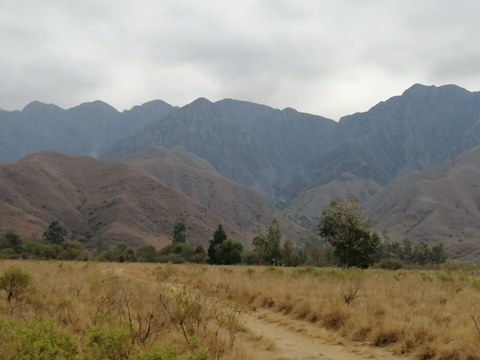 Tras 7 días, logran sofocar el fuego en Bella Vista y Pinos Norte