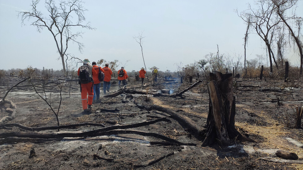 Tras incendios, costo de la hectárea subirá a $us 1.000
