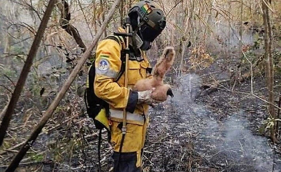 Voluntario muere cuando combatía al fuego en el Parque Tunari