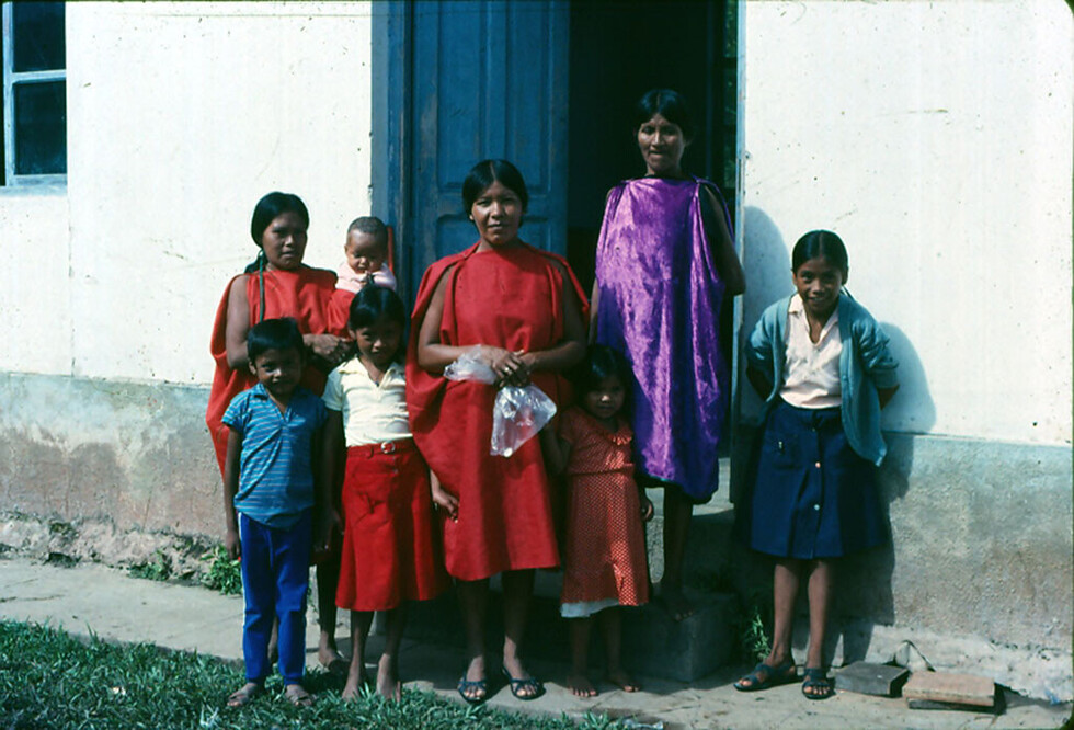 Nativas de la provincia O’Connor