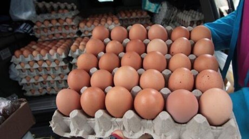 Entregan 4.000 huevos a hogares de acogida