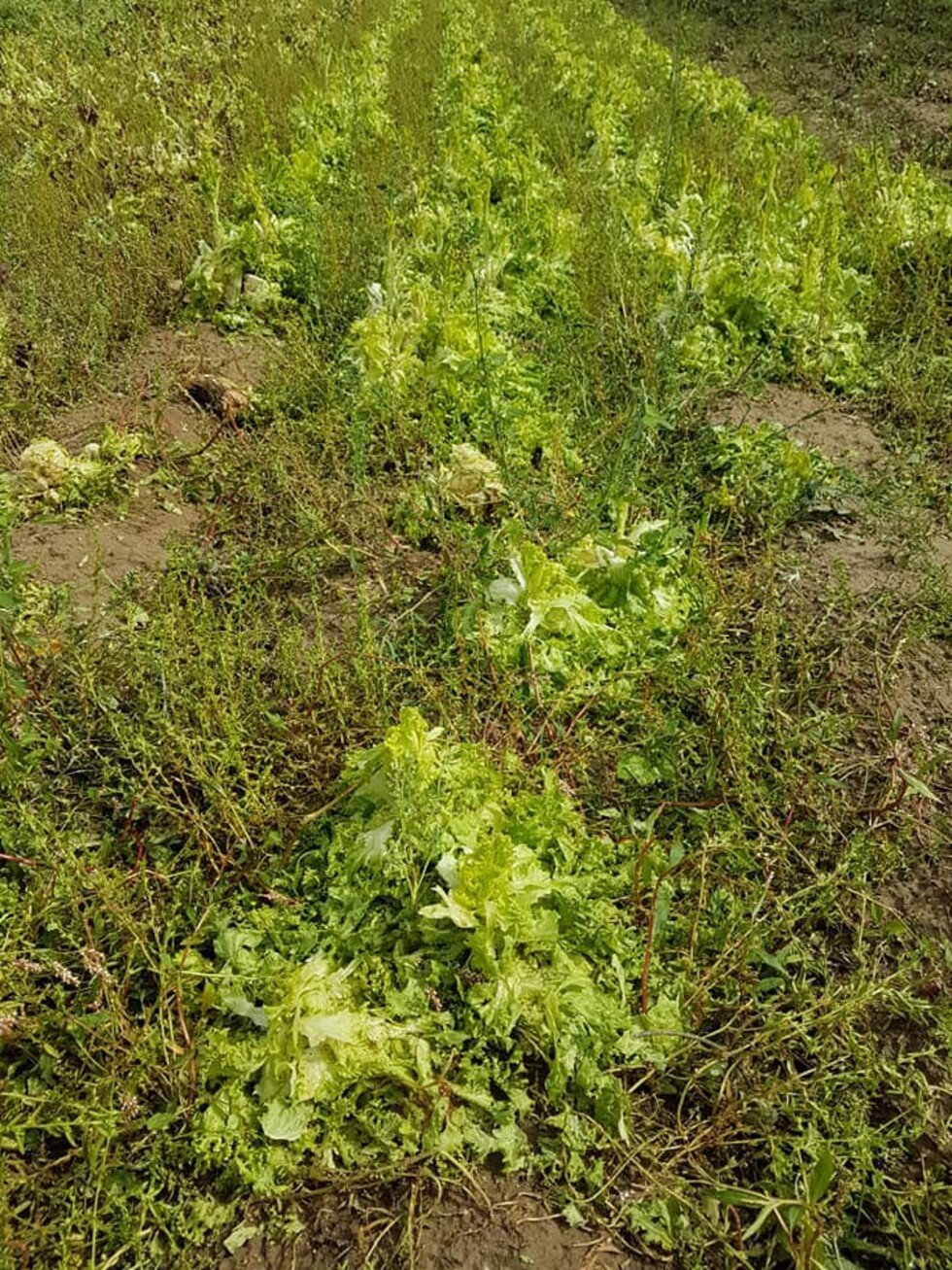 Desastres naturales y el cambio climático alerta a comunidades en Tarija