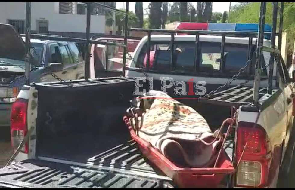 Sereno de construcción cae de altura y fallece en Tarija