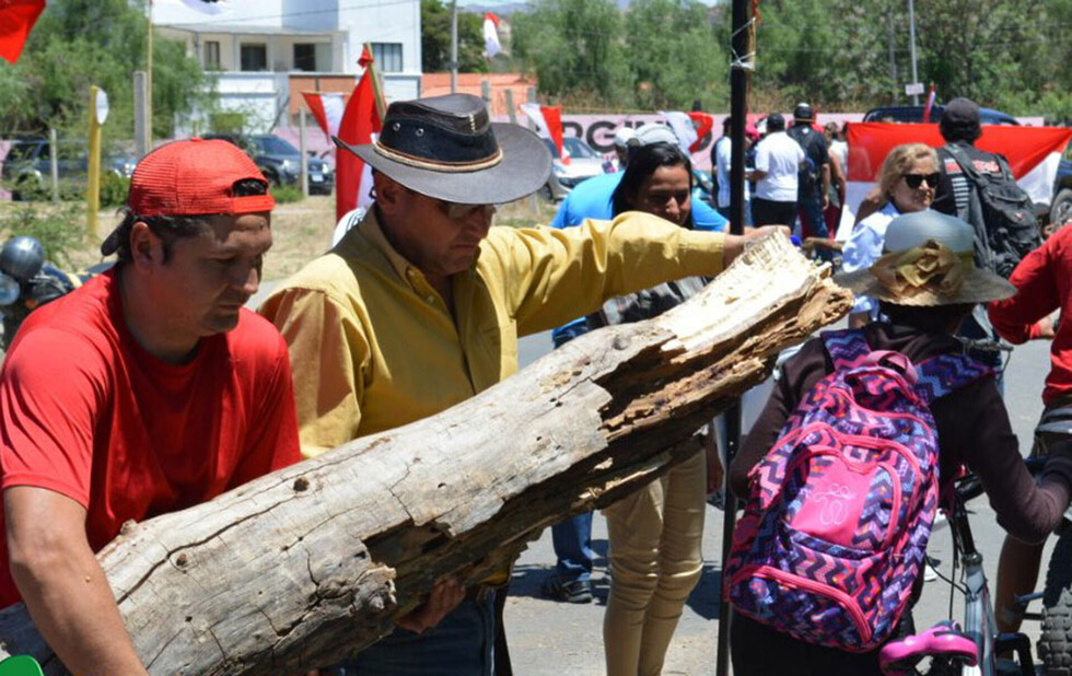 Pese a resultados, MNR y UNIR niegan que dividieron los votos