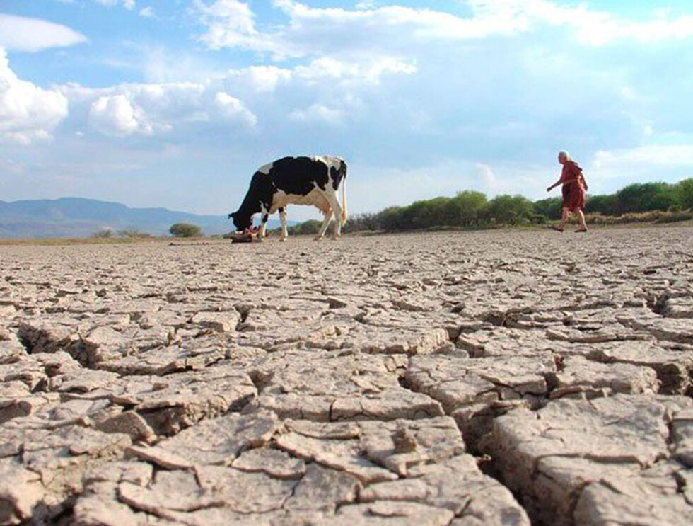 Senamhi: Alerta por riesgo agropecuario en el Chaco