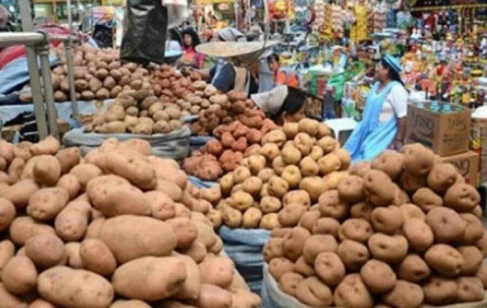 ¿Exportador o importador de alimentos? Bolivia y el dilema de la soya
