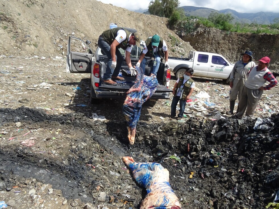 Senasag fija mayor control en el transporte de la carne en Tarija
