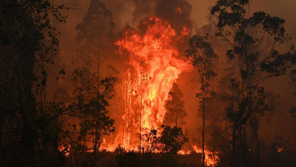 Incendios: emergencia en Australia