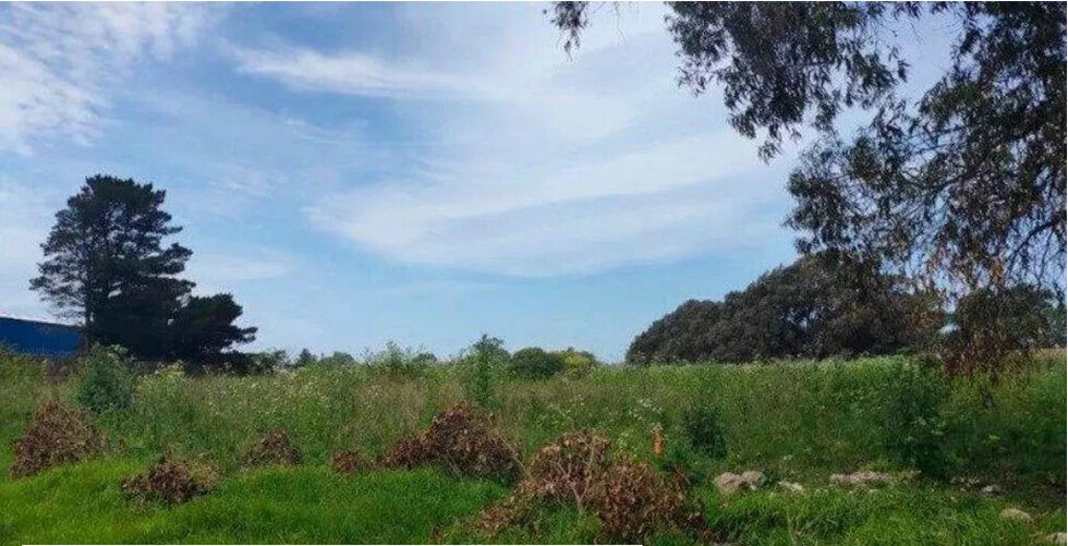 Grupo de niños hallaron  a una joven de 26 muerta