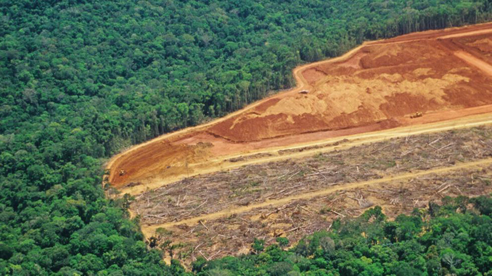 Deforestación en Amazonía bate récord desde 2008