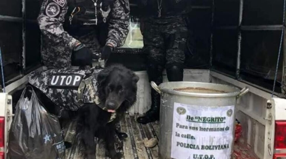 Negrito, el “amartelo” y el duelo de un perro