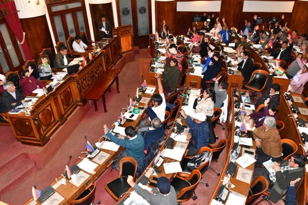 Cámara de Diputados aprueba en grande el proyecto de Ley de Garantías