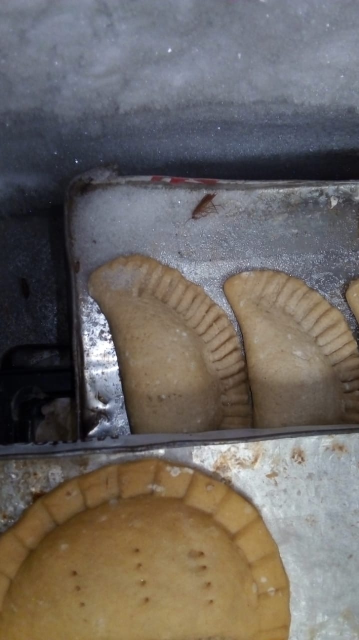 Hallan cucarachas en panadería de Tarija, Intendencia solicita sanción económica