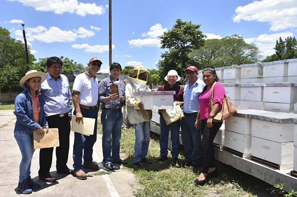 La comunidad de  Limitas opta por la apicultura