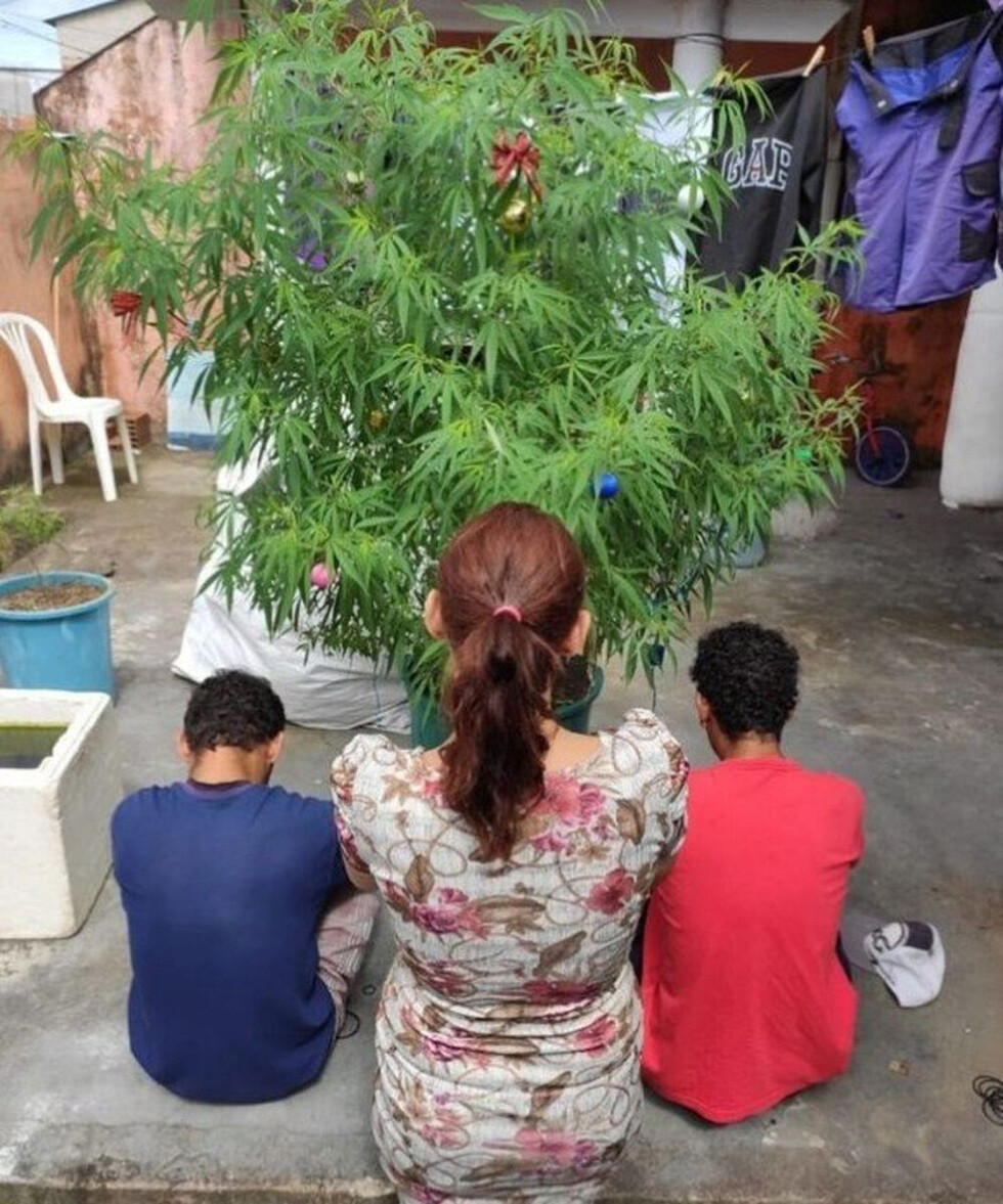 Arrestado por querer “alegrar” la Navidad