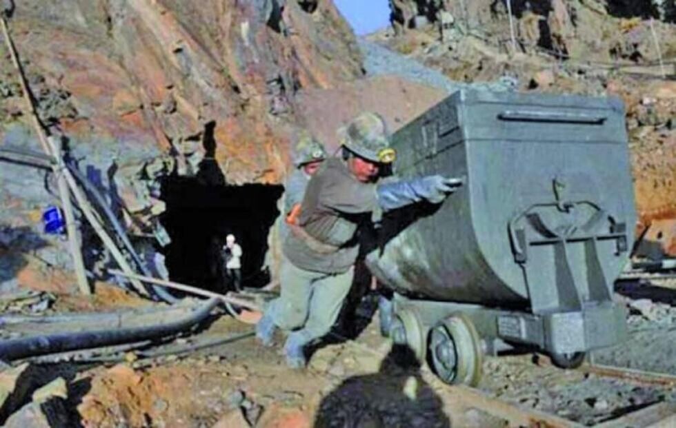 Exportación de materias primas genera “modesta” creación de empleos