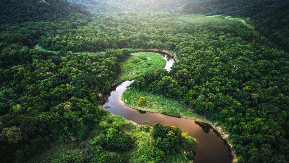En la Amazonía boliviana mujeres protegen el bosque y se empoderan