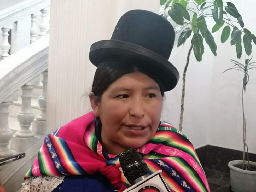 Desde el MAS piden respeto a fundadores del partido