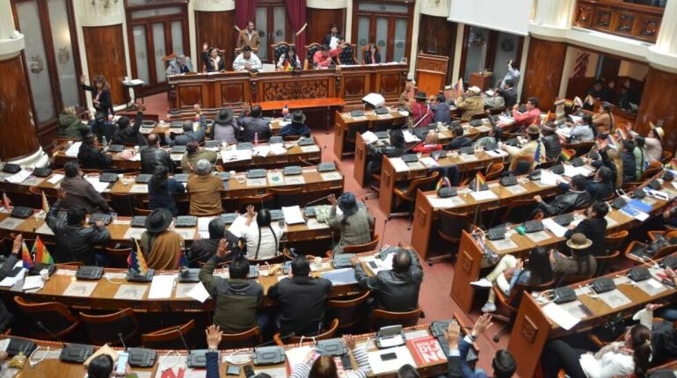 Tras el receso, la ALP interpelará a ministros de Áñez