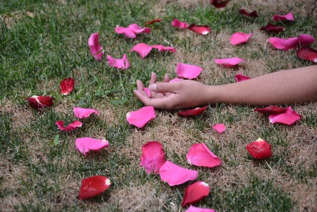 Fiscalía registró 117 casos de feminicidios durante el 2109
