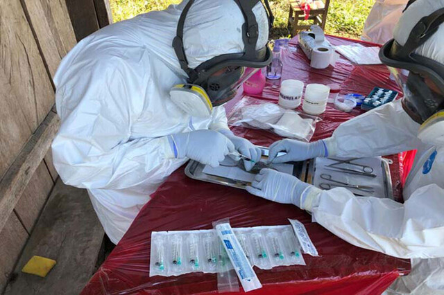 Confirman un nuevo caso de arenavirus en Caranavi