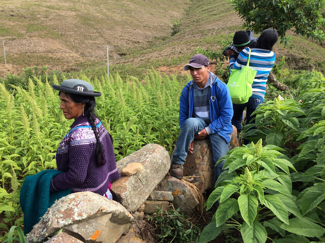 Parteras, un oficio rumbo a la “extinción” en Tarija